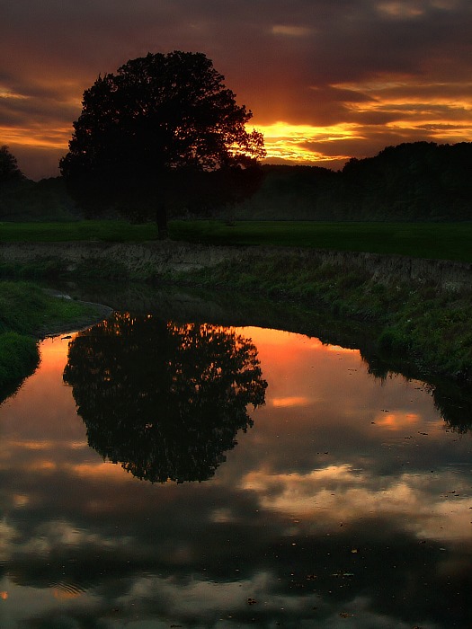 \"  večer na řece Odře \"