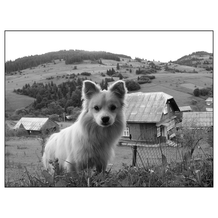 Východní Halič - krajina  II.
