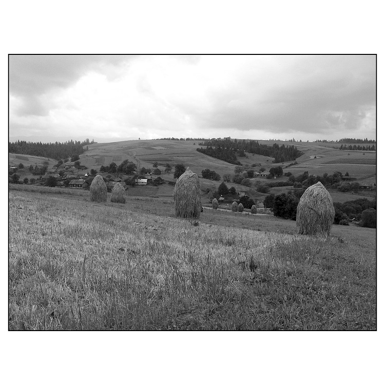 Východní Halič - krajina III.