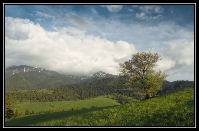 Podvečerní Tatry