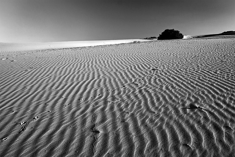 ~ Desert pattern ~
