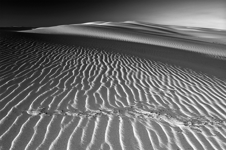 ~ No man\'s land ~