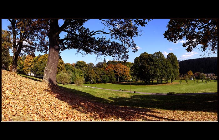 Park