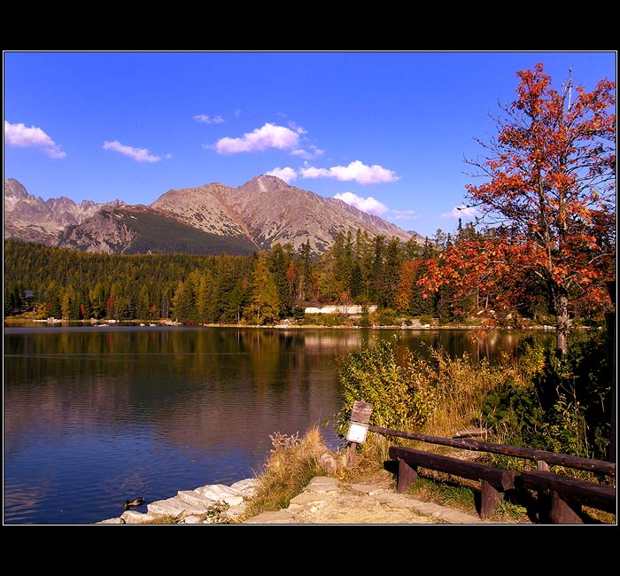 Pleso