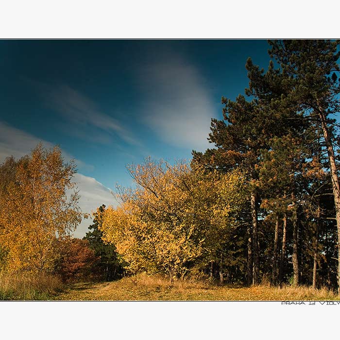 -= Praha 13 Vidly =-
