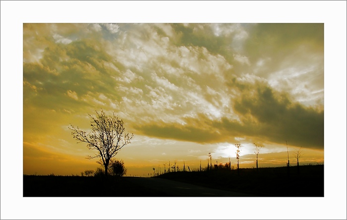 Horizont
