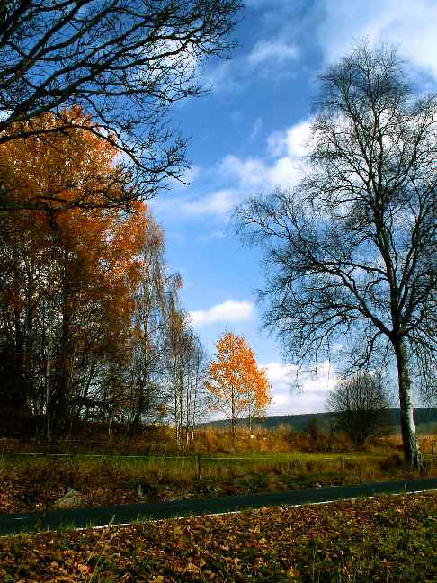 Podzim