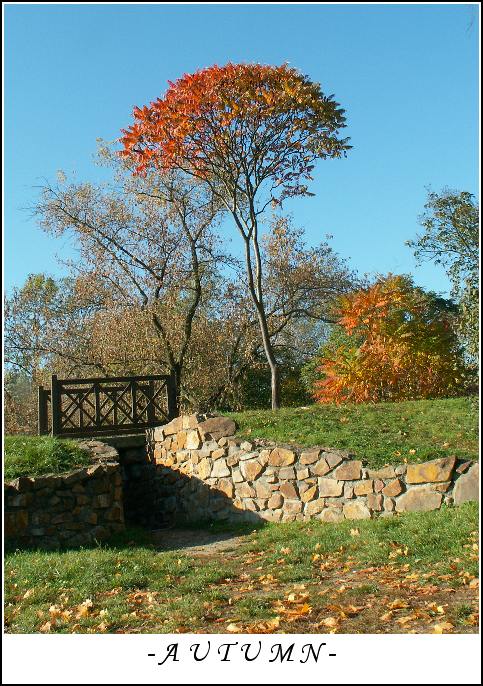 \"colours of autumn\" II