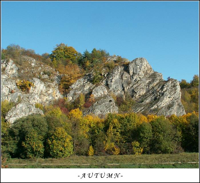 colours of autumn