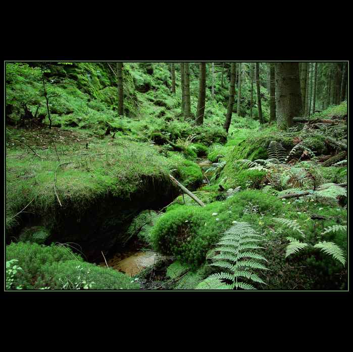 Green Valley