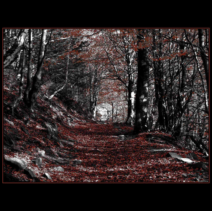 Red autumn