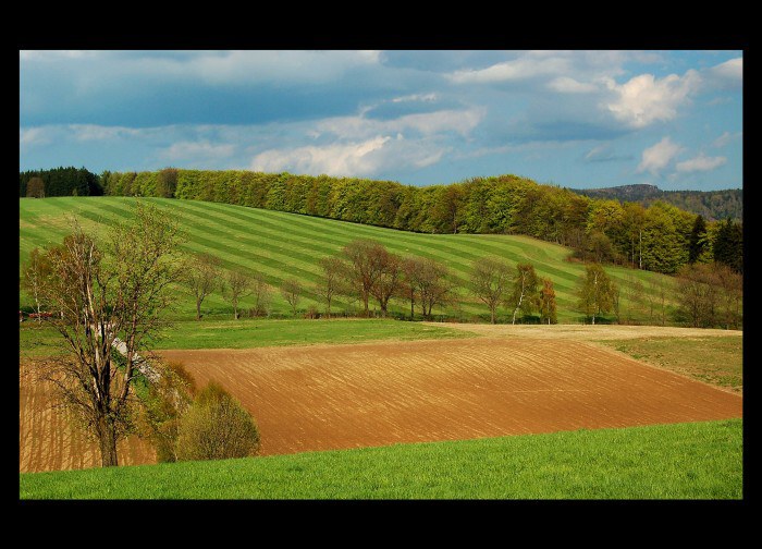 Nad Bělým