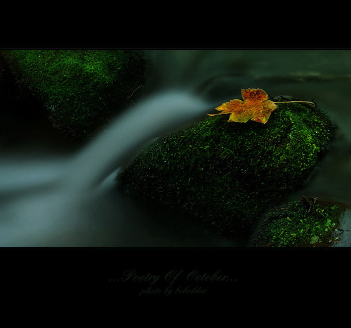 ...poetry of october...