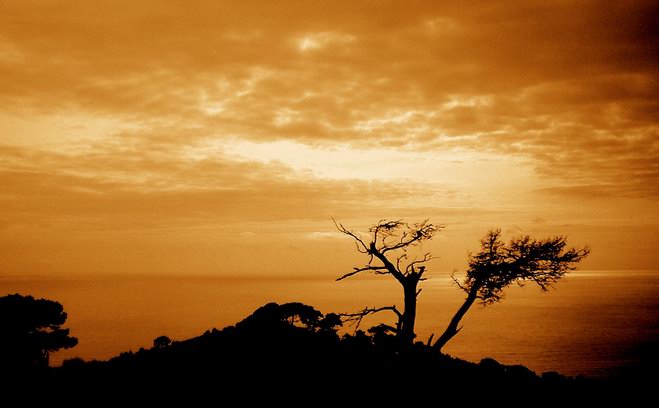 de tranquillitate animi