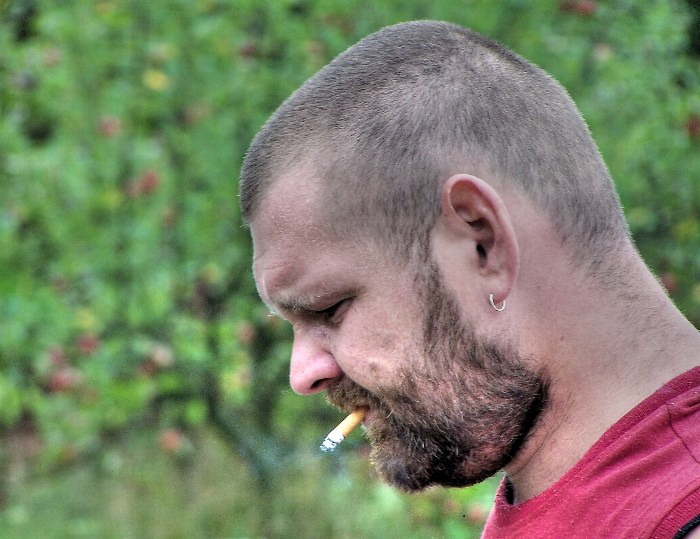Kořen
