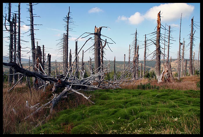 Obnova měsíční krajiny 1