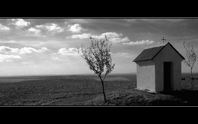 --KAPLE--