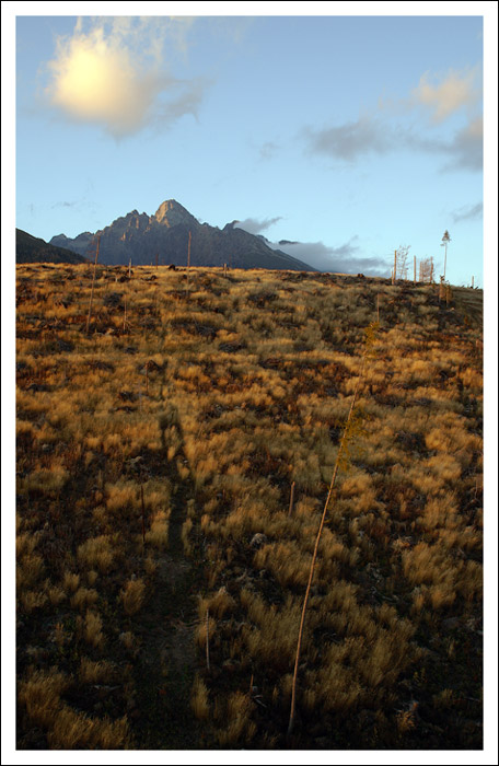 Tatry :(