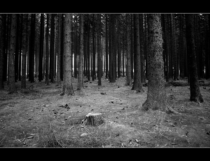...monochromní pohedy III...