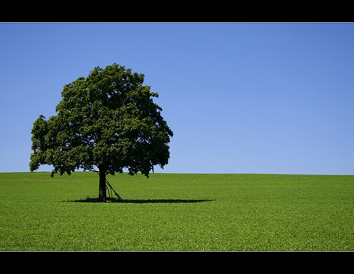 ...solitér IV...