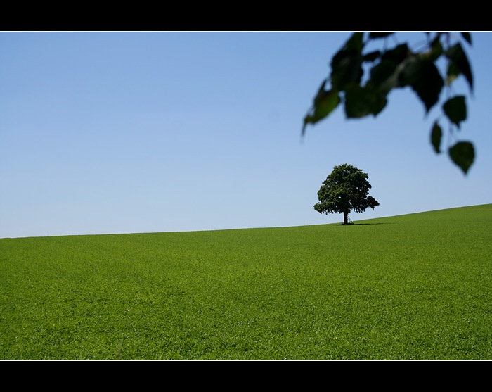 ...Solitér V...
