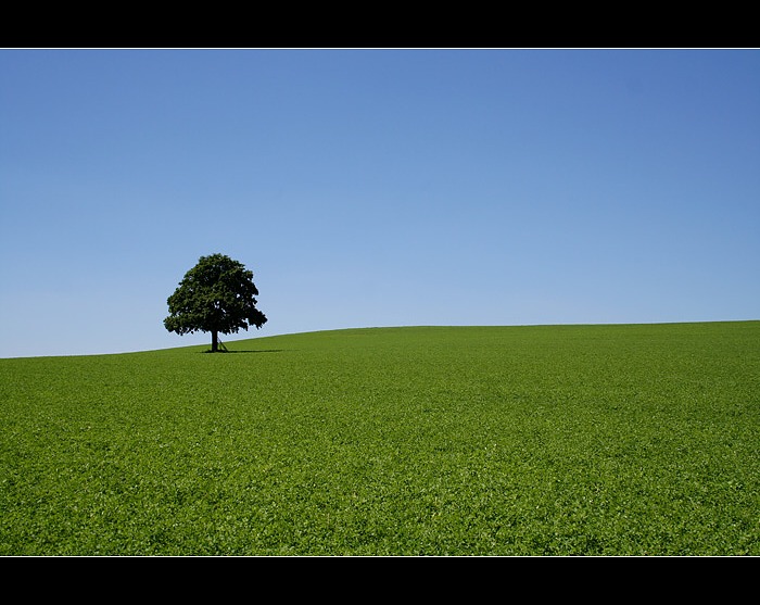 ...Solitér VI...