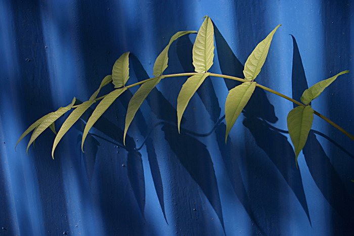 ... a zvlnění zvlášť!