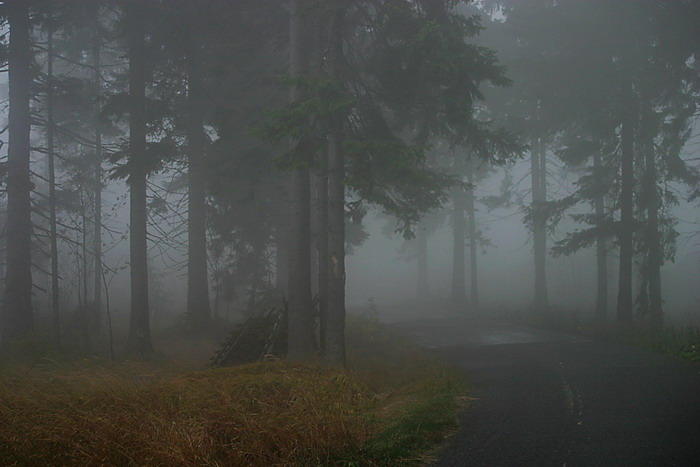 ... a za zatáčkou to už uvidíte!