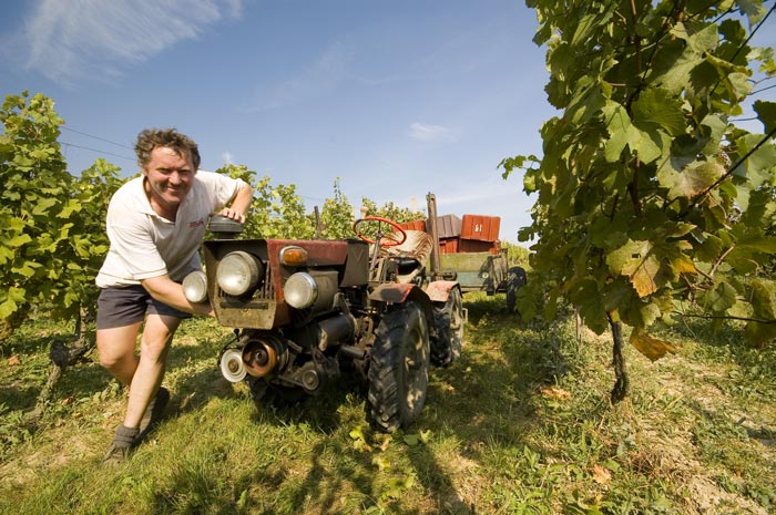 Vinobranie Bořetice 2006