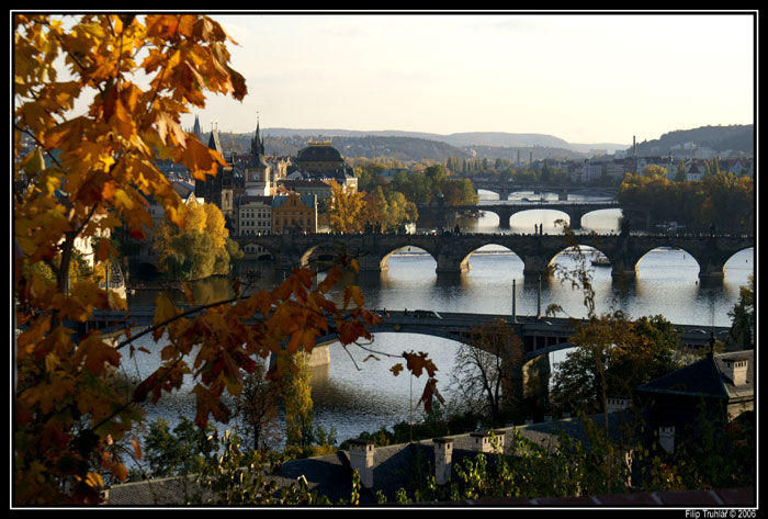 bridges