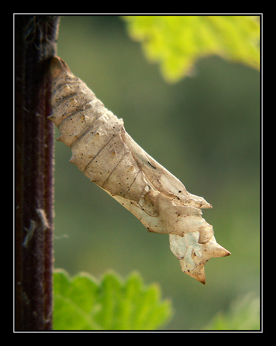 ještě si užije babí léto