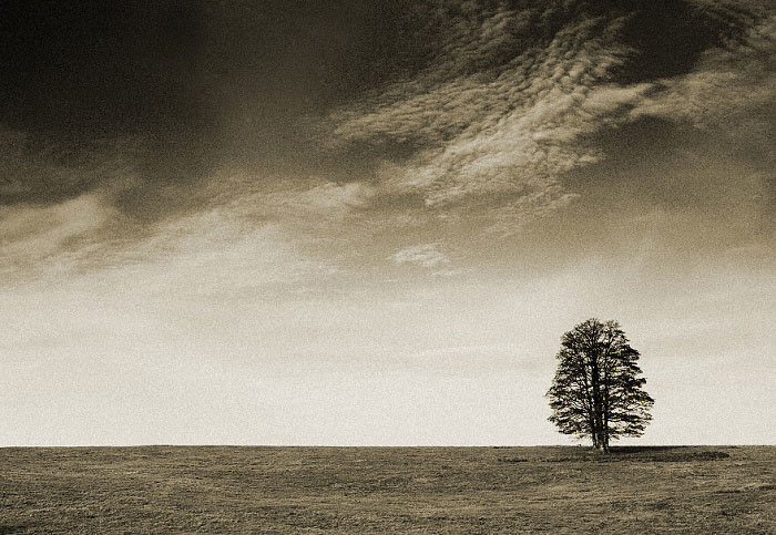 Solitér