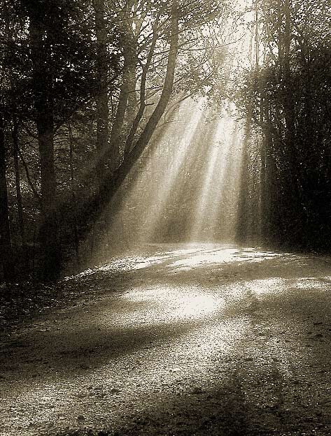 Daylight