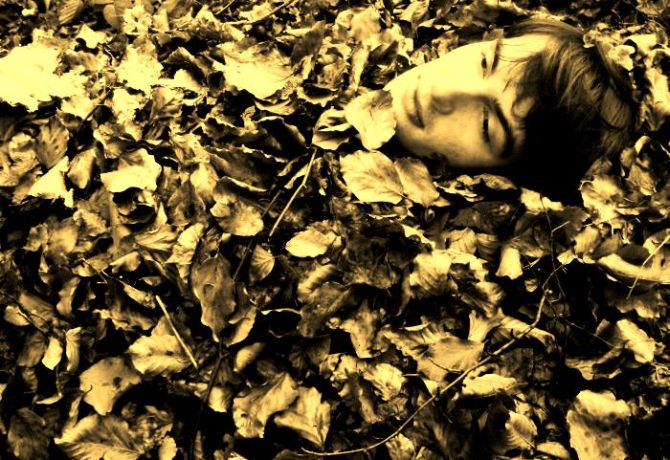 dead leaves and dirty ground