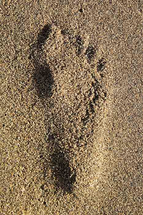 FOOT