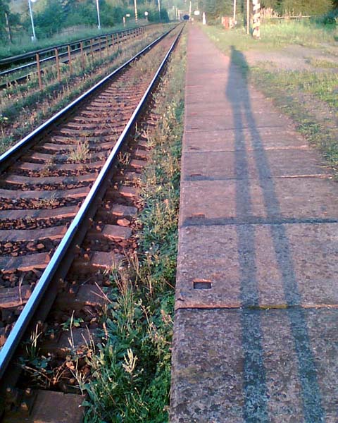 autoportét II.