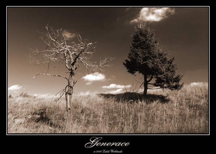 Generace