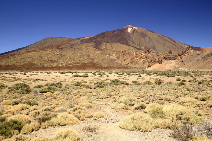 Teide