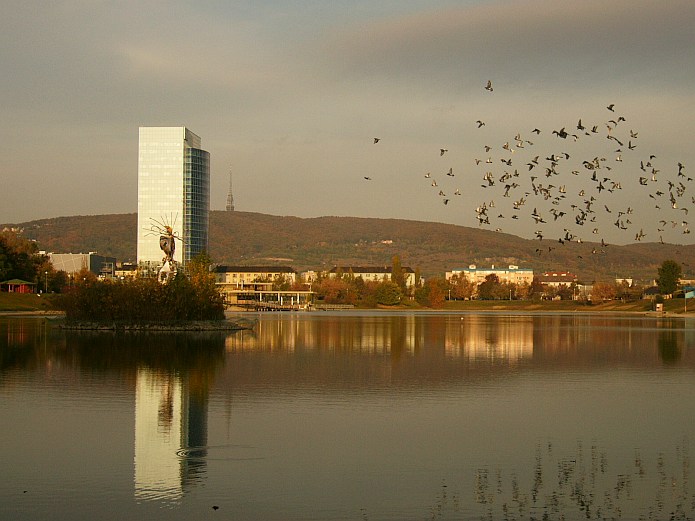Bratislavske rano