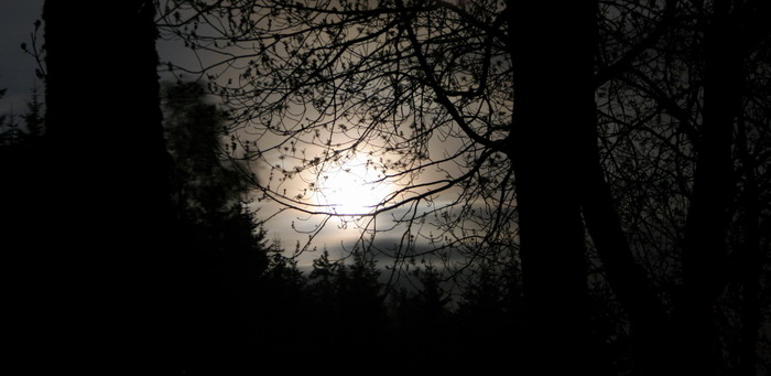 Nocni I