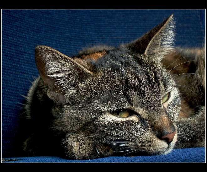 Neotravuj nebo tě seknu