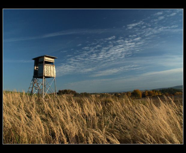 Mám to pod dohledem