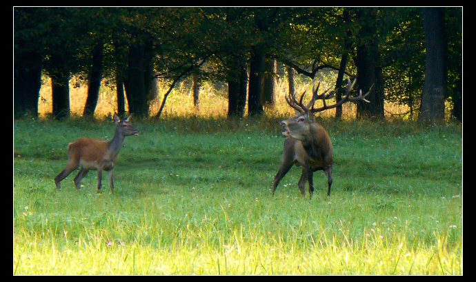 Nebudu to opakovat !!!