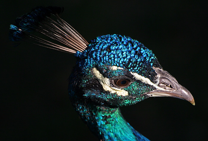 hra světla a stínu