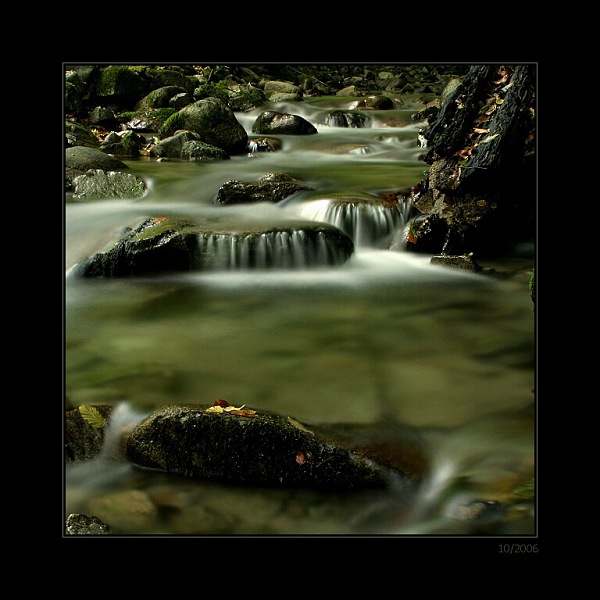 potokowka