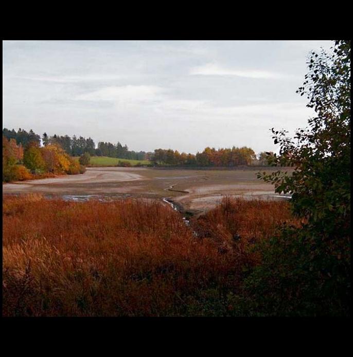 Vypuštěný rybník