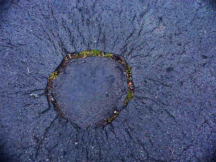 asphalt sun