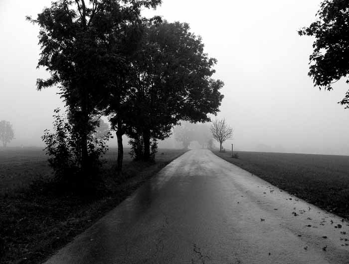 fall road