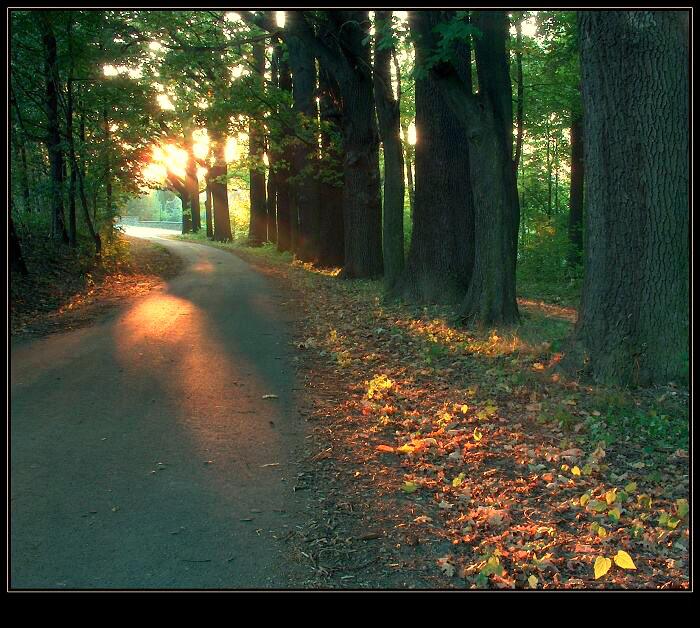 němí svědkové zániku dne