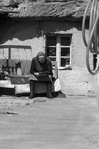 original slovenska..